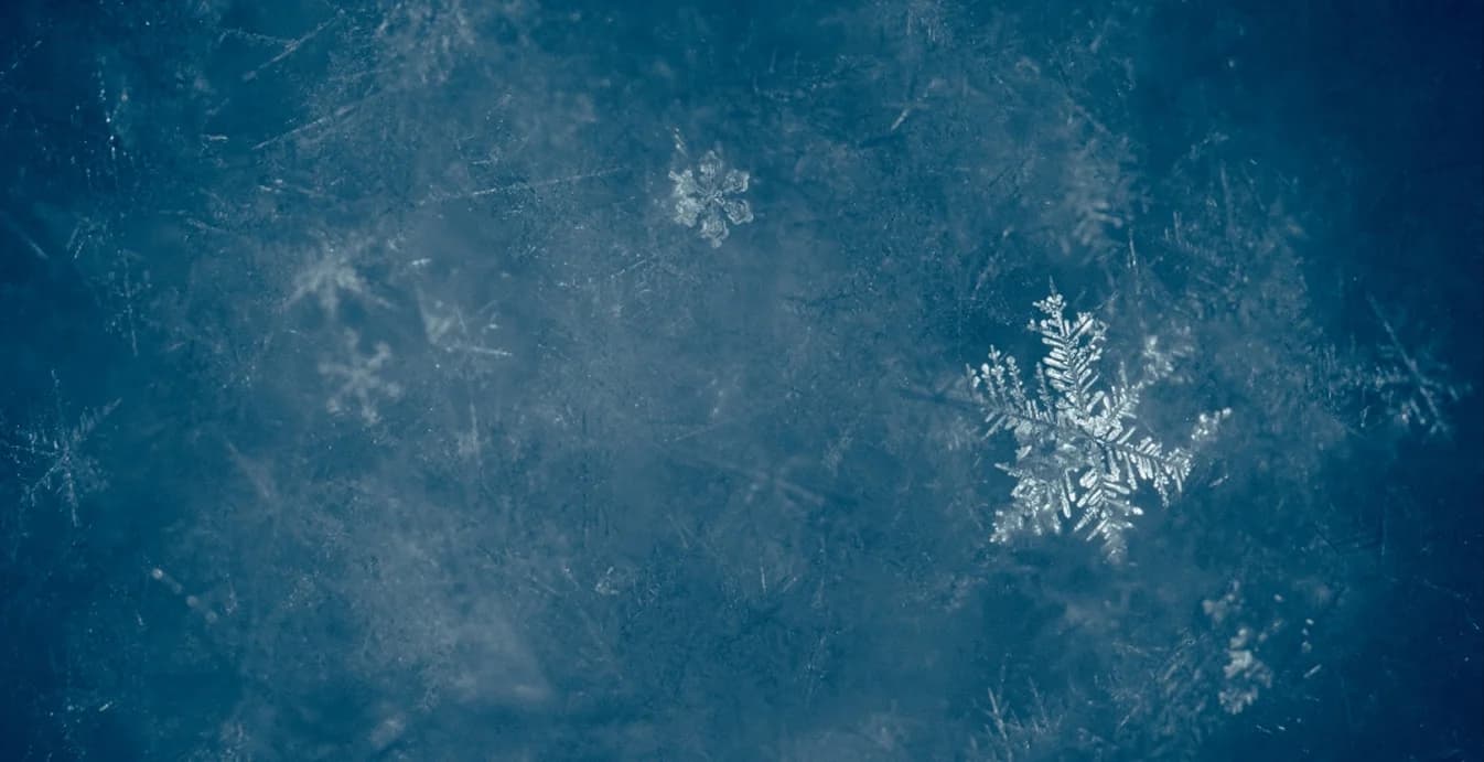 Se tornou uma pessoa fria...